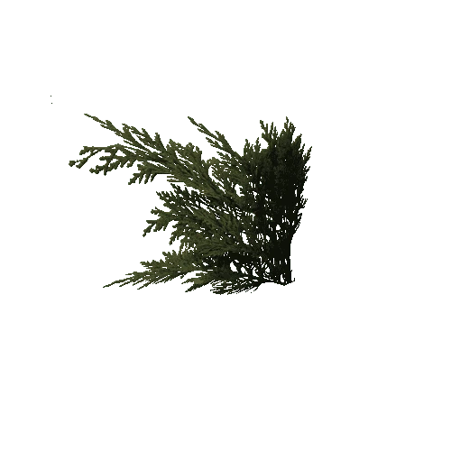 Juniper Branch (Mesh)